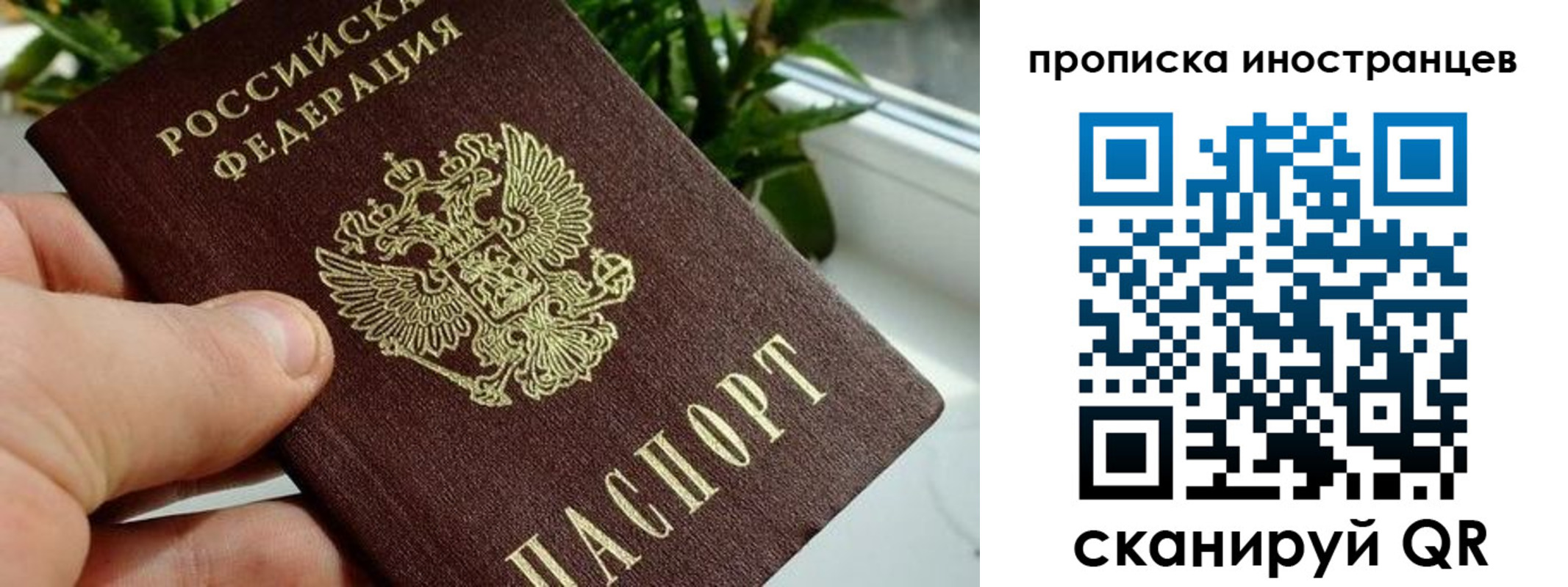 временная регистрация в Данилове